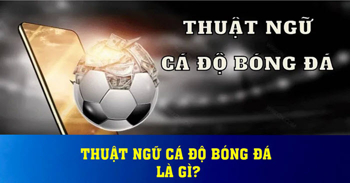 Thuật ngữ cá độ bóng đá được hiểu là gì?